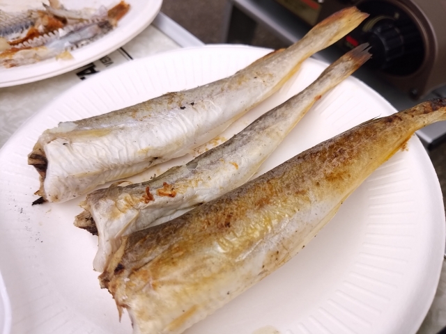 コマイ 氷下魚 日本食品名産図鑑