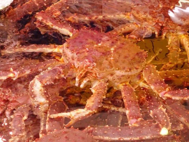 蟹の王様 タラバガニ 日本食品名産図鑑