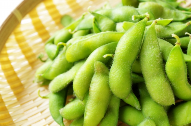 枝豆という品種がある訳ではありません 大豆の若い豆のことです 枝豆はダイズの若衆 日本食品名産図鑑