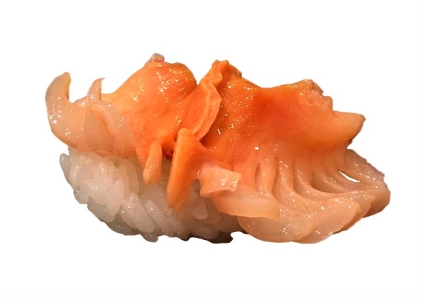 寿司屋の職人は何故 赤貝を叩きつけるのか 日本食品名産図鑑