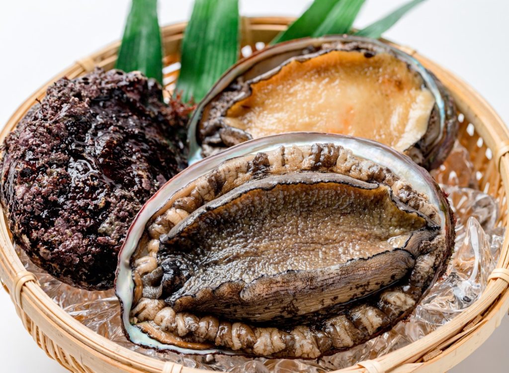 アワビは一枚貝ではなく 実は巻き貝の一種です 日本食品名産図鑑